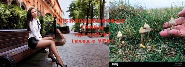 прущая мука Вязьма